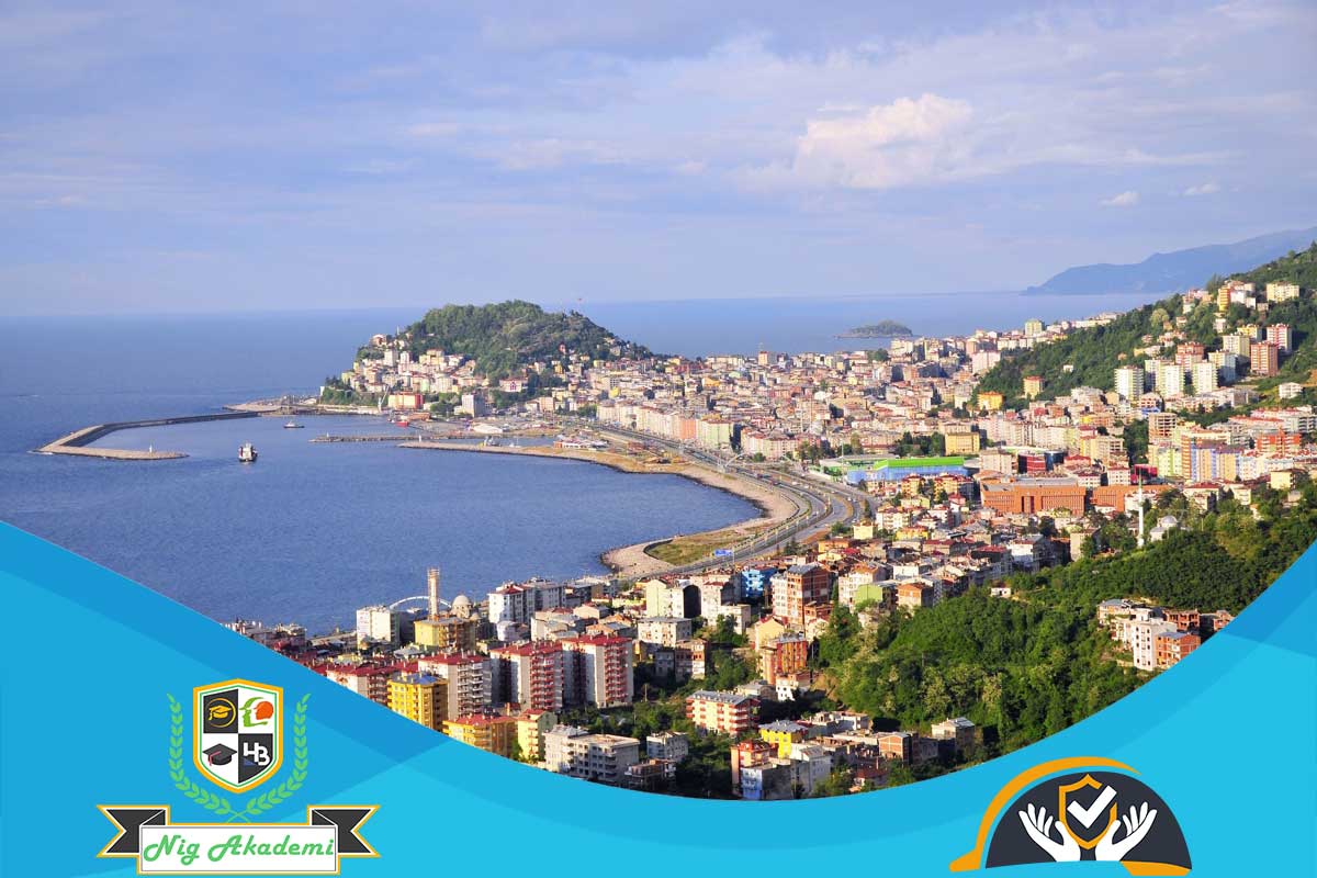 Giresun isg raporu