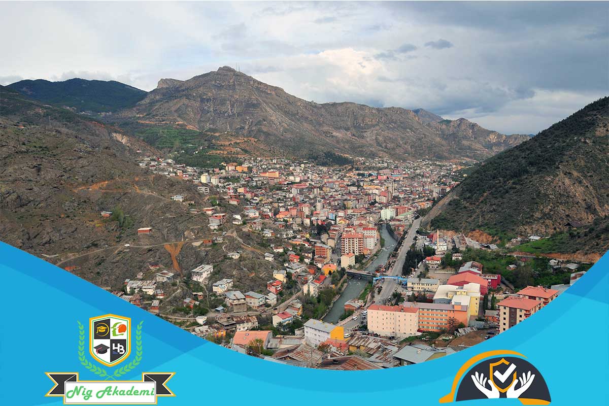 Gümüşhane isg raporu