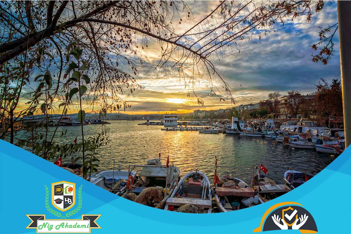 Tekirdağ isg raporu