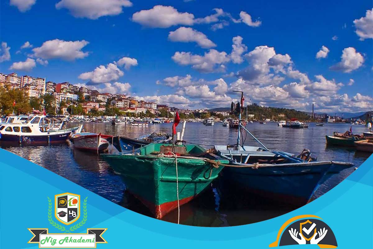 Zonguldak isg raporu