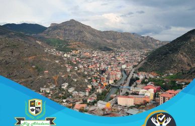 Gümüşhane isg raporu