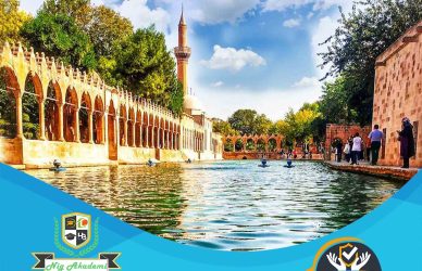 Şanlıurfa isg raporu