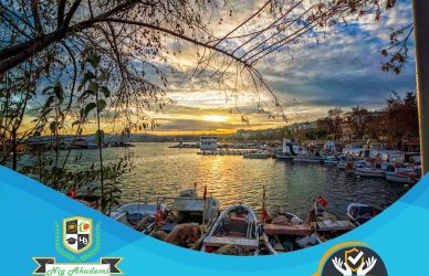 Tekirdağ isg raporu